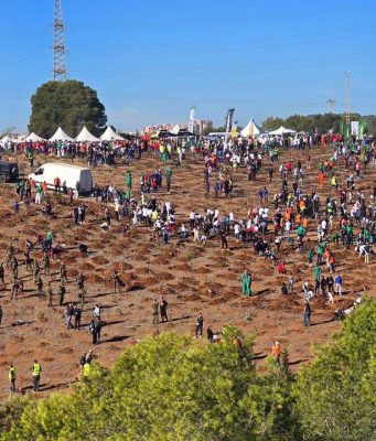 Campagne de plantation d’un million d’arbres : mobilisation inédite des citoyens