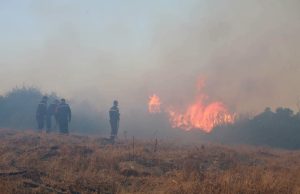 Décès de citoyens dans les incendies survenus dans plusieurs wilayas : le président de la République décrète un deuil national de trois jours