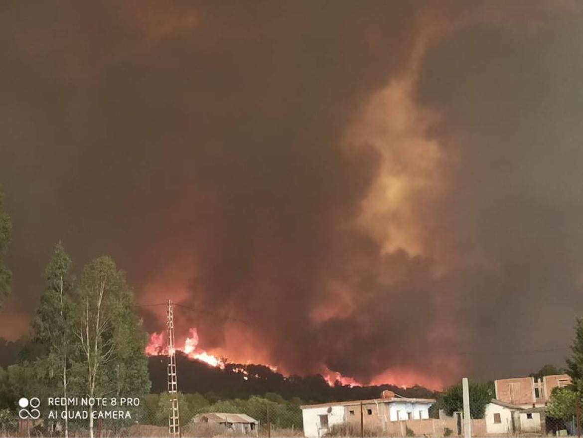 Feux de forêt à l’Est du pays : 26 morts et près de 2600 hectares détruits