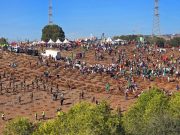 Campagne de plantation d’un million d’arbres : mobilisation inédite des citoyens