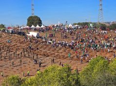 Campagne de plantation d’un million d’arbres : mobilisation inédite des citoyens