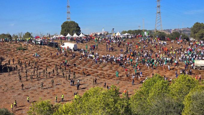 Campagne de plantation d’un million d’arbres : mobilisation inédite des citoyens