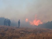 Décès de citoyens dans les incendies survenus dans plusieurs wilayas : le président de la République décrète un deuil national de trois jours