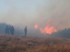 Décès de citoyens dans les incendies survenus dans plusieurs wilayas : le président de la République décrète un deuil national de trois jours