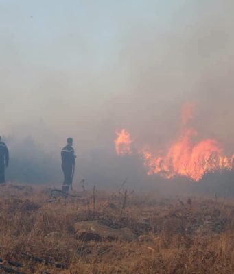 Décès de citoyens dans les incendies survenus dans plusieurs wilayas : le président de la République décrète un deuil national de trois jours