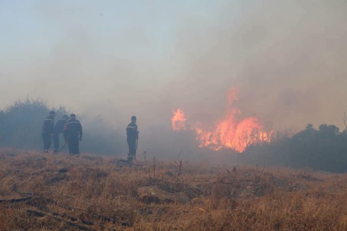 Décès de citoyens dans les incendies survenus dans plusieurs wilayas : le président de la République décrète un deuil national de trois jours